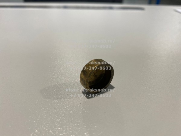 Заглушка головки блока Д-245 — 2