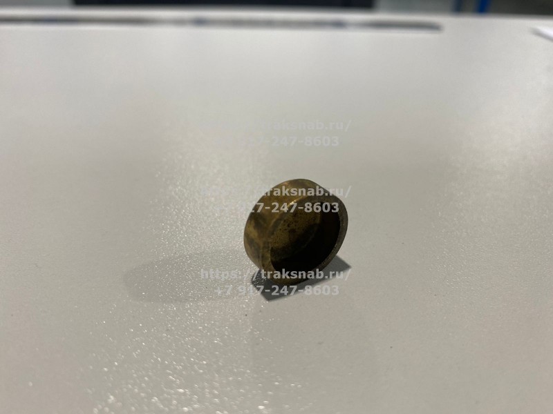 Заглушка головки блока Д-245 — 2