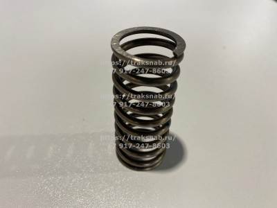 Пружина клапана наружняя Д245