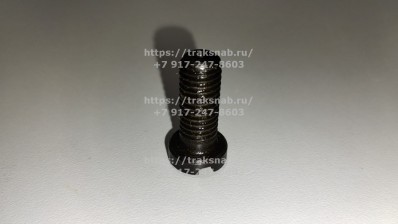 Винт крепления пластины распред/вала ММЗ