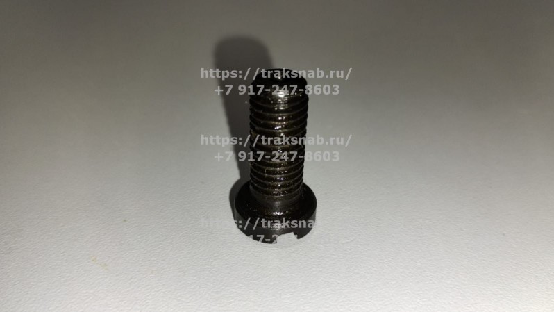 Винт крепления пластины распред/вала ММЗ — 1