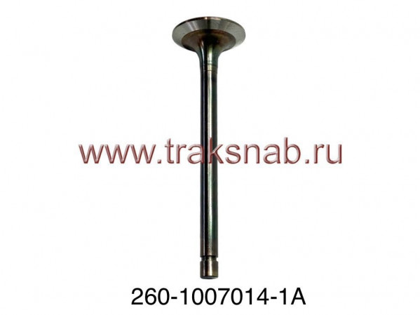 Клапан впускной (большой)  Д-260 оригинал — 3