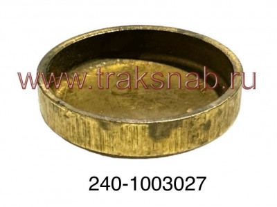 Заглушка головки блока 21г (латунь)